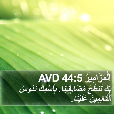 اَلْمَزَامِيرُ 44:5 AVD Bible Verse Image