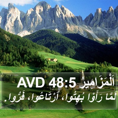 اَلْمَزَامِيرُ 48:5 AVD Bible Verse Image
