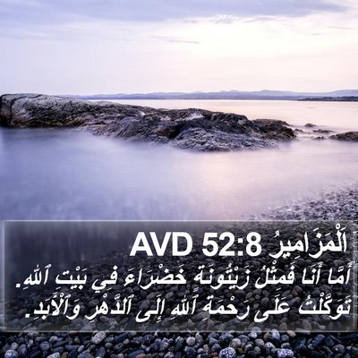 اَلْمَزَامِيرُ 52:8 AVD Bible Verse Image