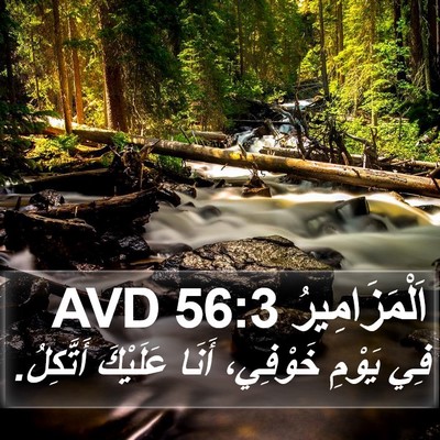 اَلْمَزَامِيرُ 56:3 AVD Bible Verse Image