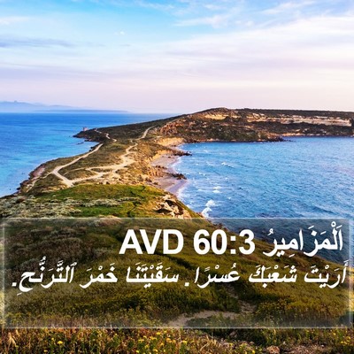 اَلْمَزَامِيرُ 60:3 AVD Bible Verse Image
