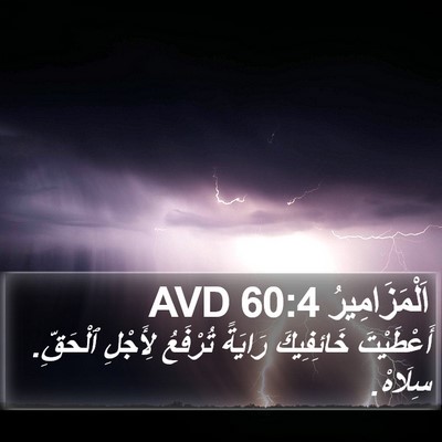 اَلْمَزَامِيرُ 60:4 AVD Bible Verse Image