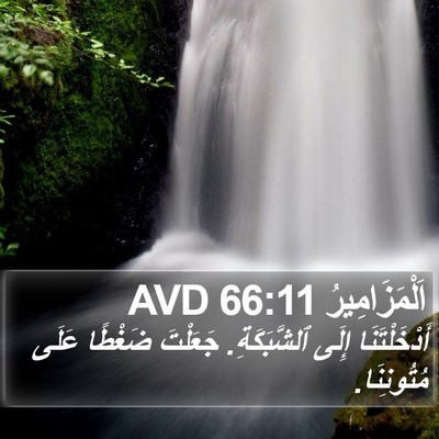 اَلْمَزَامِيرُ 66:11 AVD Bible Verse Image