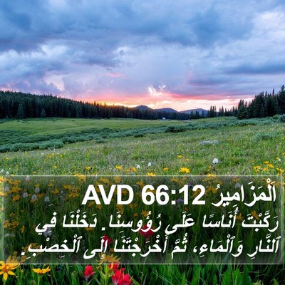 اَلْمَزَامِيرُ 66:12 AVD Bible Verse Image
