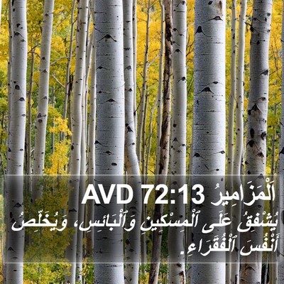 اَلْمَزَامِيرُ 72:13 AVD Bible Verse Image