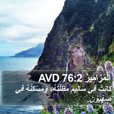 اَلْمَزَامِيرُ 76:2 AVD Bible Verse Image