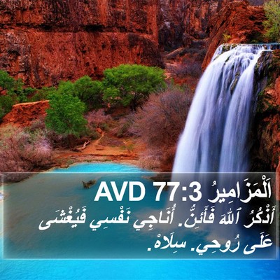 اَلْمَزَامِيرُ 77:3 AVD Bible Verse Image