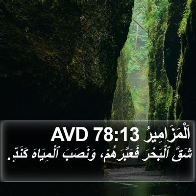 اَلْمَزَامِيرُ 78:13 AVD Bible Verse Image