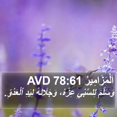 اَلْمَزَامِيرُ 78:61 AVD Bible Verse Image