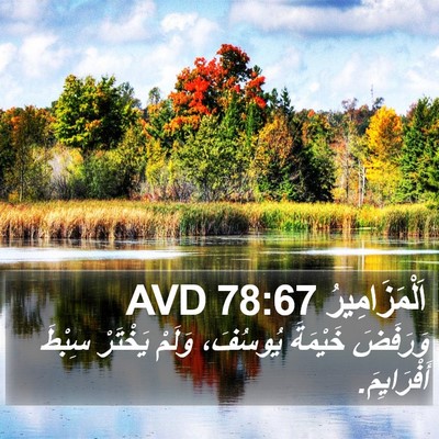 اَلْمَزَامِيرُ 78:67 AVD Bible Verse Image