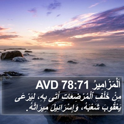 اَلْمَزَامِيرُ 78:71 AVD Bible Verse Image