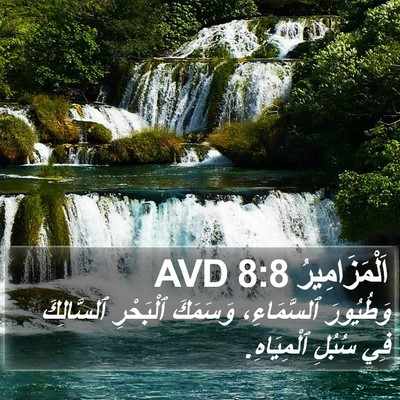اَلْمَزَامِيرُ 8:8 AVD Bible Verse Image