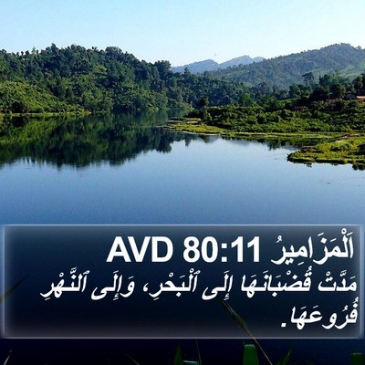 اَلْمَزَامِيرُ 80:11 AVD Bible Verse Image