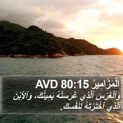 اَلْمَزَامِيرُ 80:15 AVD Bible Verse Image