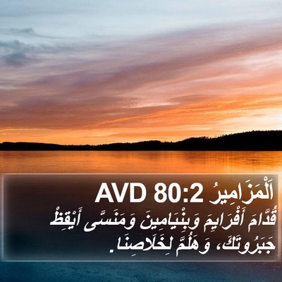 اَلْمَزَامِيرُ 80:2 AVD Bible Verse Image