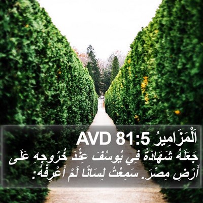 اَلْمَزَامِيرُ 81:5 AVD Bible Verse Image