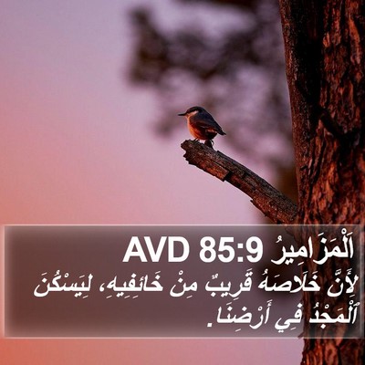 اَلْمَزَامِيرُ 85:9 AVD Bible Verse Image