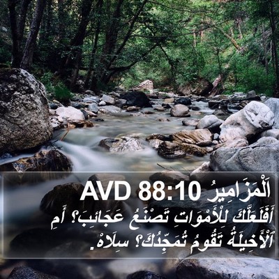 اَلْمَزَامِيرُ 88:10 AVD Bible Verse Image
