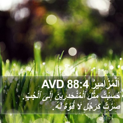 اَلْمَزَامِيرُ 88:4 AVD Bible Verse Image