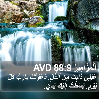اَلْمَزَامِيرُ 88:9 AVD Bible Verse Image