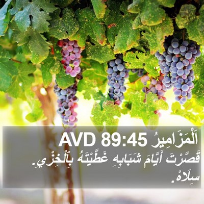 اَلْمَزَامِيرُ 89:45 AVD Bible Verse Image