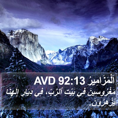اَلْمَزَامِيرُ 92:13 AVD Bible Verse Image