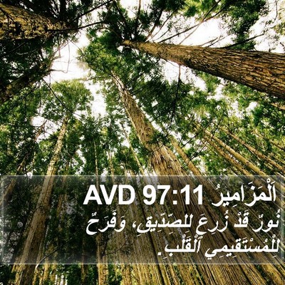 اَلْمَزَامِيرُ 97:11 AVD Bible Verse Image