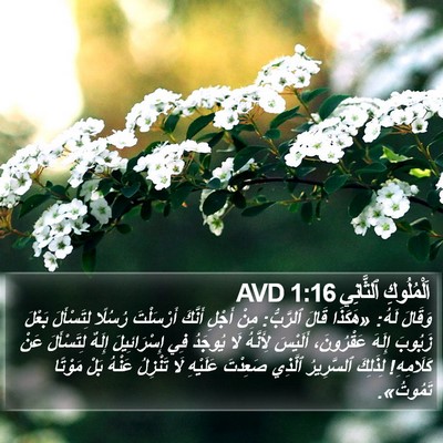 اَلْمُلُوكِ ٱلثَّانِي 1:16 AVD Bible Verse Image