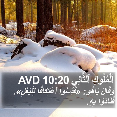 اَلْمُلُوكِ ٱلثَّانِي 10:20 AVD Bible Verse Image