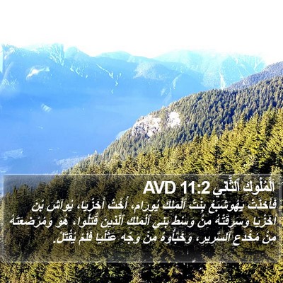 اَلْمُلُوكِ ٱلثَّانِي 11:2 AVD Bible Verse Image