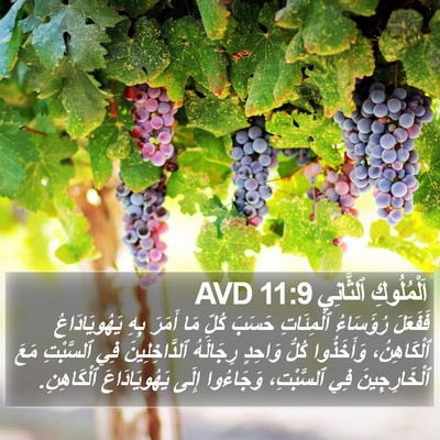 اَلْمُلُوكِ ٱلثَّانِي 11:9 AVD Bible Verse Image