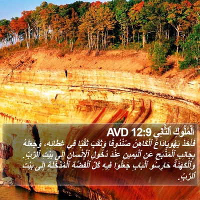 اَلْمُلُوكِ ٱلثَّانِي 12:9 AVD Bible Verse Image