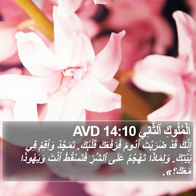 اَلْمُلُوكِ ٱلثَّانِي 14:10 AVD Bible Verse Image