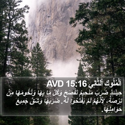 اَلْمُلُوكِ ٱلثَّانِي 15:16 AVD Bible Verse Image