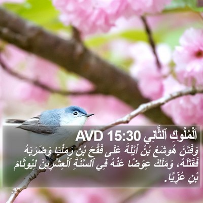 اَلْمُلُوكِ ٱلثَّانِي 15:30 AVD Bible Verse Image