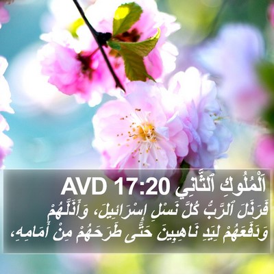 اَلْمُلُوكِ ٱلثَّانِي 17:20 AVD Bible Verse Image