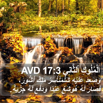 اَلْمُلُوكِ ٱلثَّانِي 17:3 AVD Bible Verse Image