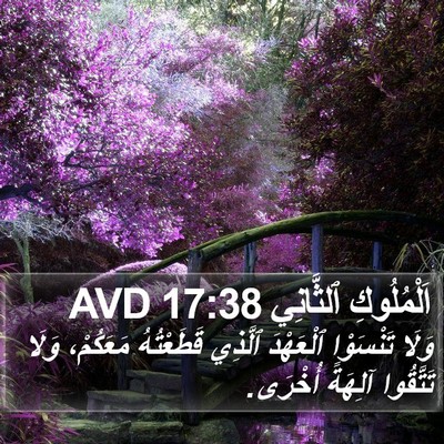 اَلْمُلُوكِ ٱلثَّانِي 17:38 AVD Bible Verse Image