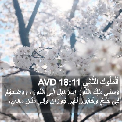 اَلْمُلُوكِ ٱلثَّانِي 18:11 AVD Bible Verse Image