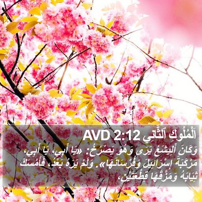 اَلْمُلُوكِ ٱلثَّانِي 2:12 AVD Bible Verse Image