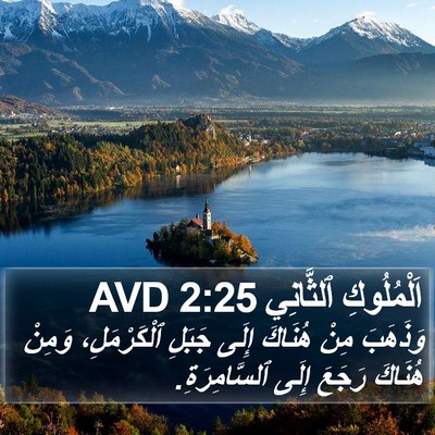 اَلْمُلُوكِ ٱلثَّانِي 2:25 AVD Bible Verse Image
