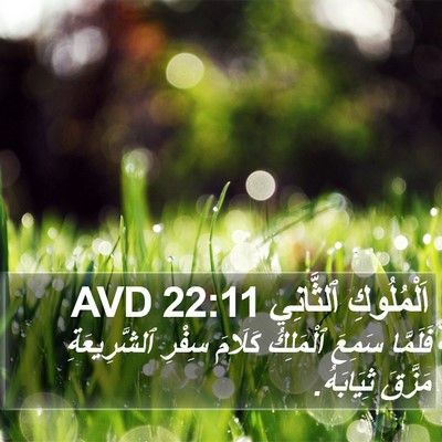 اَلْمُلُوكِ ٱلثَّانِي 22:11 AVD Bible Verse Image