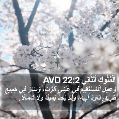 اَلْمُلُوكِ ٱلثَّانِي 22:2 AVD Bible Verse Image