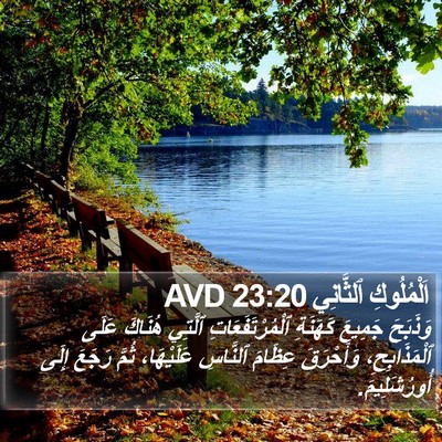اَلْمُلُوكِ ٱلثَّانِي 23:20 AVD Bible Verse Image