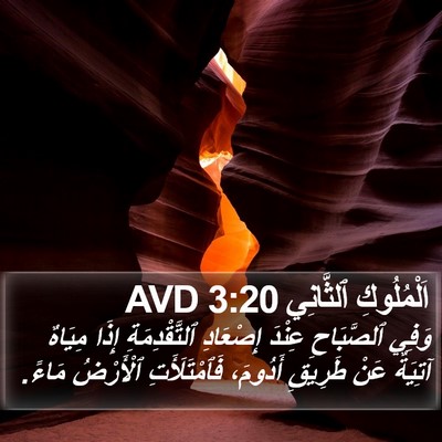 اَلْمُلُوكِ ٱلثَّانِي 3:20 AVD Bible Verse Image