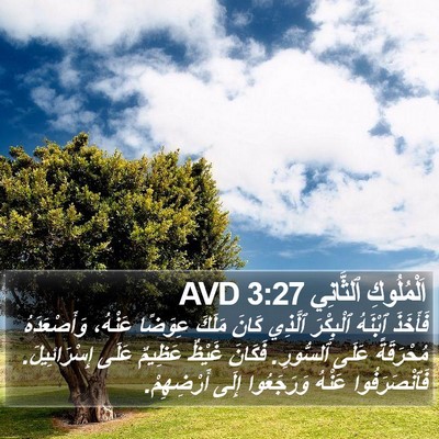 اَلْمُلُوكِ ٱلثَّانِي 3:27 AVD Bible Verse Image