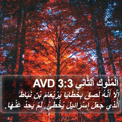 اَلْمُلُوكِ ٱلثَّانِي 3:3 AVD Bible Verse Image