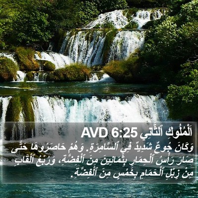 اَلْمُلُوكِ ٱلثَّانِي 6:25 AVD Bible Verse Image