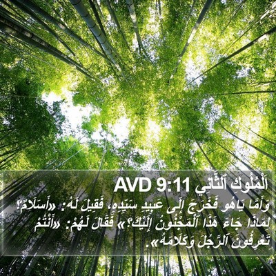 اَلْمُلُوكِ ٱلثَّانِي 9:11 AVD Bible Verse Image