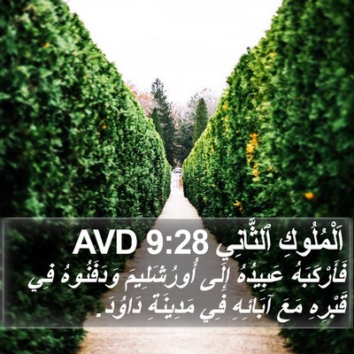 اَلْمُلُوكِ ٱلثَّانِي 9:28 AVD Bible Verse Image